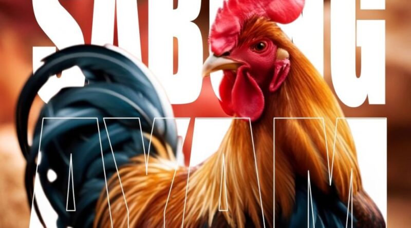 Ayam Jago Berkualitas